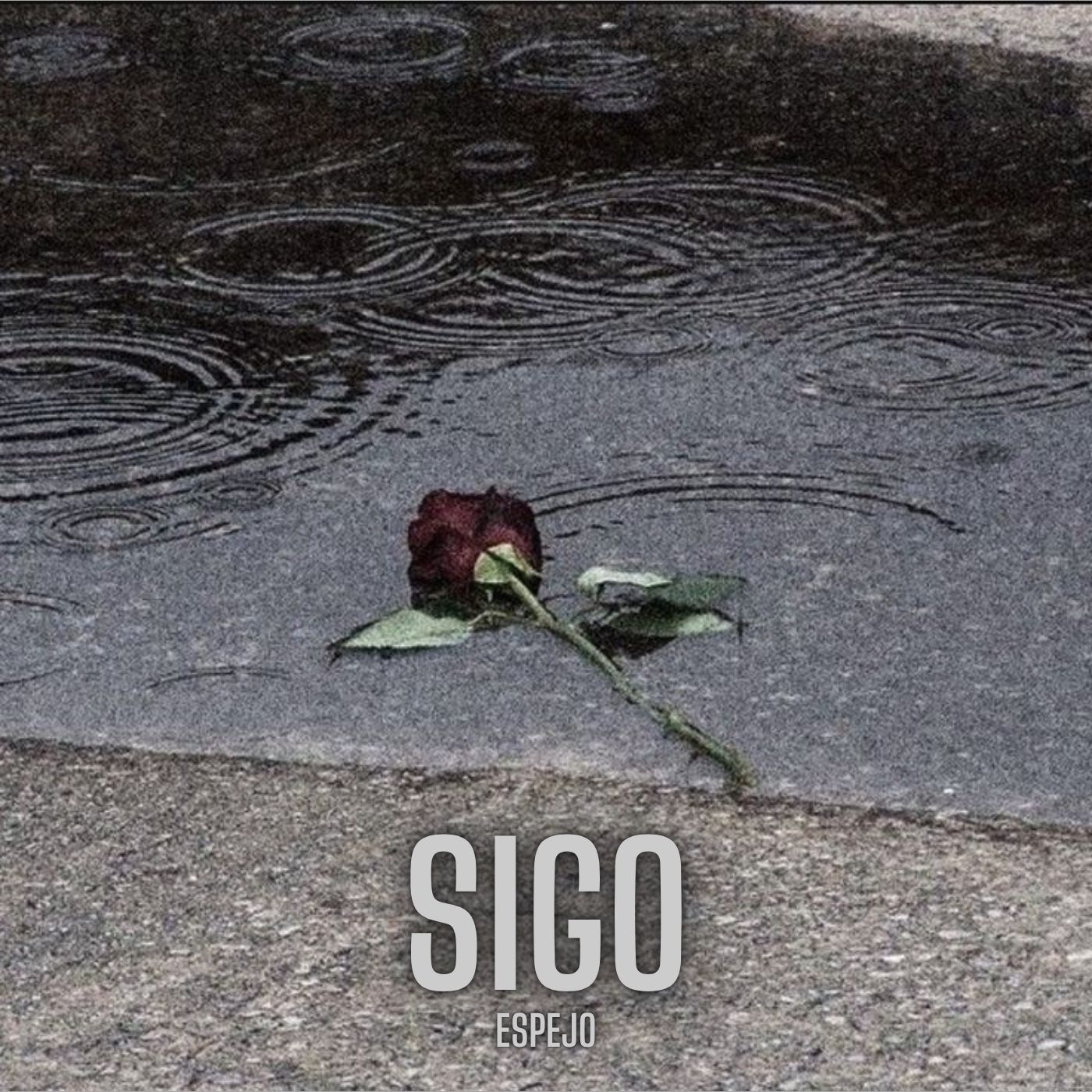Portada de Sigo